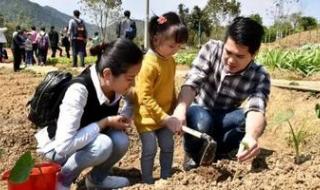 我来松松土by珠玉在侧