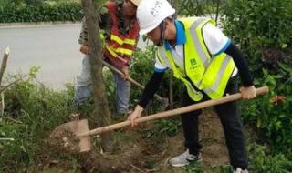 我来松松土by珠玉在侧