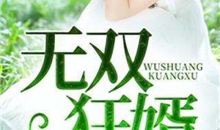 楚尘和宋三小姐的小说