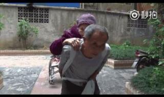 寸草心打一字谜底是什么