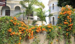 去厦门旅游住哪里比较方便 去厦门旅游住哪里比较方便