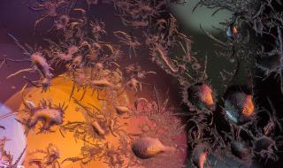 冰窗花形成原因介绍 冬天玻璃上形成的冰窗花 冰窗花形成原因介绍 冬天玻璃上形成的冰窗花