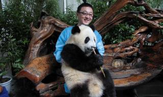 大熊猫丫丫身上有血洞 大熊猫丫丫身上有血洞