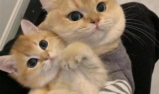 如何自己打自己最有耻辱感