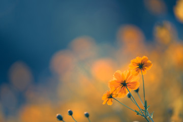 JJ麻将的游戏简介 JJ麻将官方下载新版