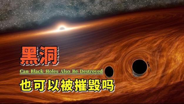 给黑洞买保险的理赔流程（黑洞投资做什么的）