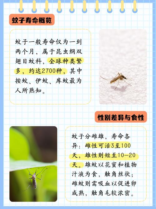 用《民法典》规范蚊子吸血(蚊子吸血标准)