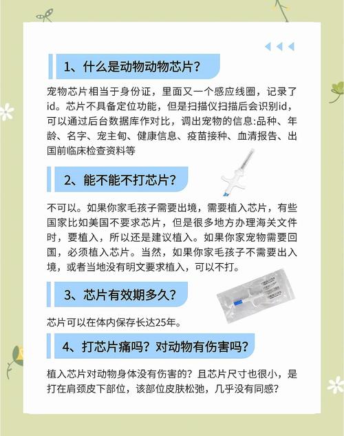 用区块链技术养电子宠物（区块链养宠物卖不出去怎么办）