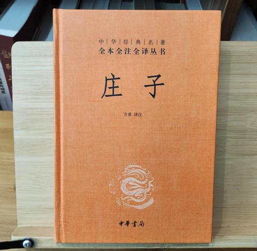 如果庄子开直播讲哲学（庄子的讲座）