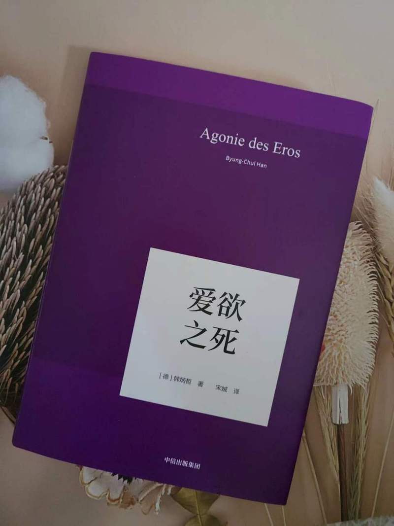 当代爱情里的防沉迷系统（当代爱情里的防沉迷系统叫什么）