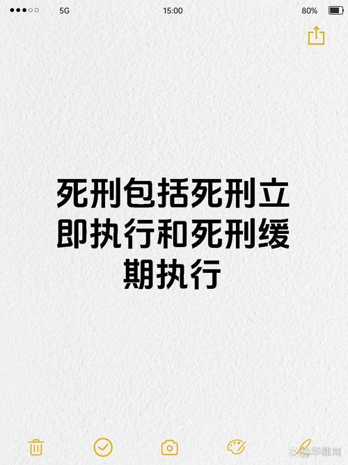 包含意识上传后的死刑执行的词条