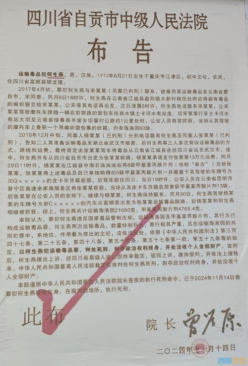 包含意识上传后的死刑执行的词条