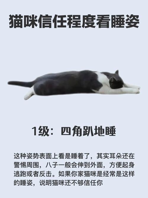 如何证明你家的猫是卧底(如何证明你家的猫是卧底呢)