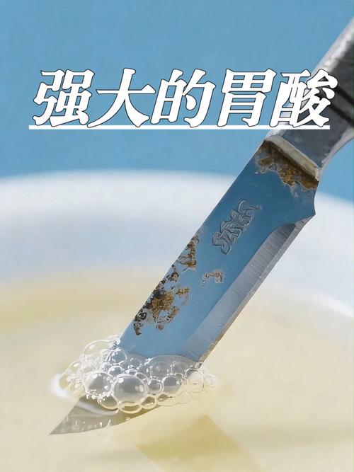 你的胃酸能溶解刀片（胃酸能溶解什么物质）