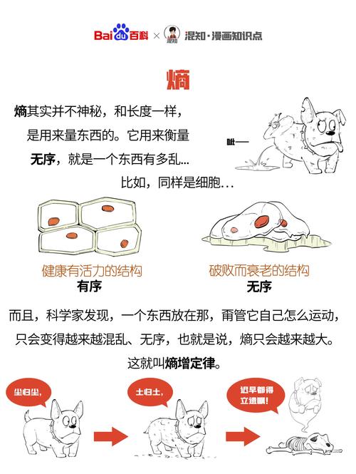 虫洞快递的熵增问题（虫洞概念图）