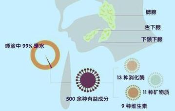 用唾液检测压力激素（用唾液检测压力激素准确吗）