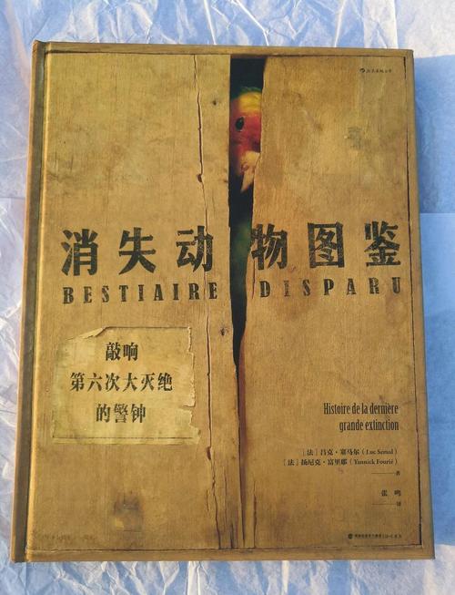 如果所有动物开始996工作制（如果所有动物都灭绝了会怎么样）