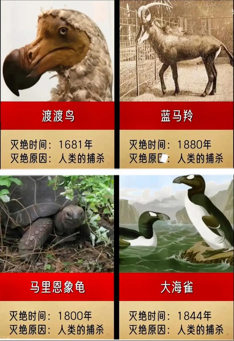 如果所有动物开始996工作制（如果所有动物都灭绝了会怎么样）