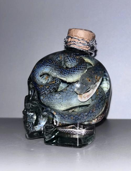 玛雅水晶头骨的光学特性（玛雅人水晶头骨的传说）