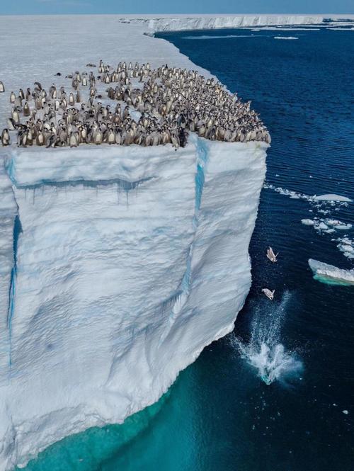 南极冰下湖的远古生态系统（南极冰川下的湖）