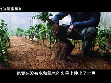 火星土豆的变异风险（火星种土豆是什么电影）