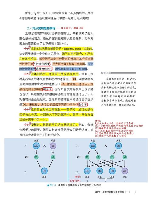 左撇子的基因优势清单（左撇子是基因突变吗）