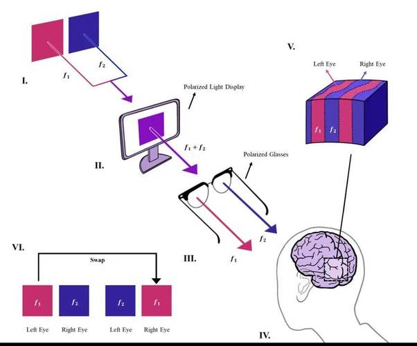 脑机接口的伦理红线（脑机接口成功案例）