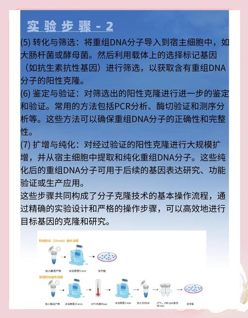 意识克隆导致的身份混乱（克隆人意识移植）