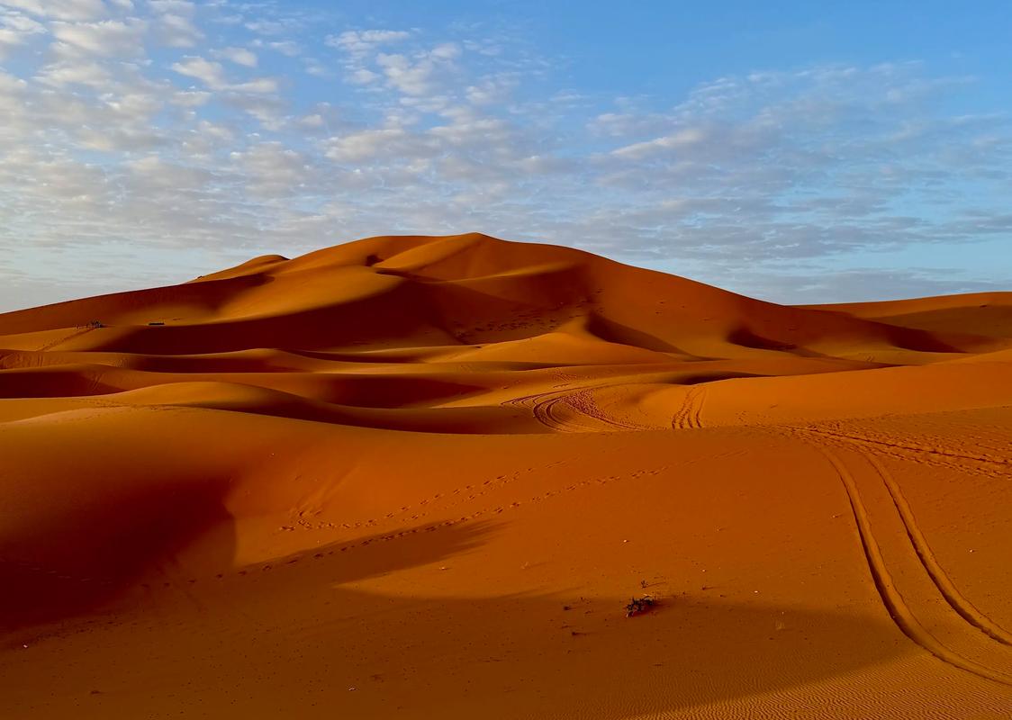 撒哈拉沙漠的周期性绿洲（撒哈拉沙漠曾经是绿洲）