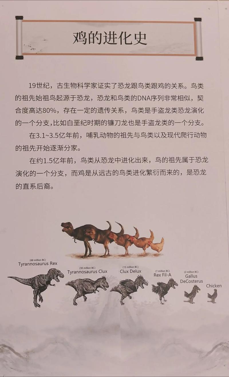 用AI还原恐龙叫声（恐龙叫声是怎么模拟出来的）