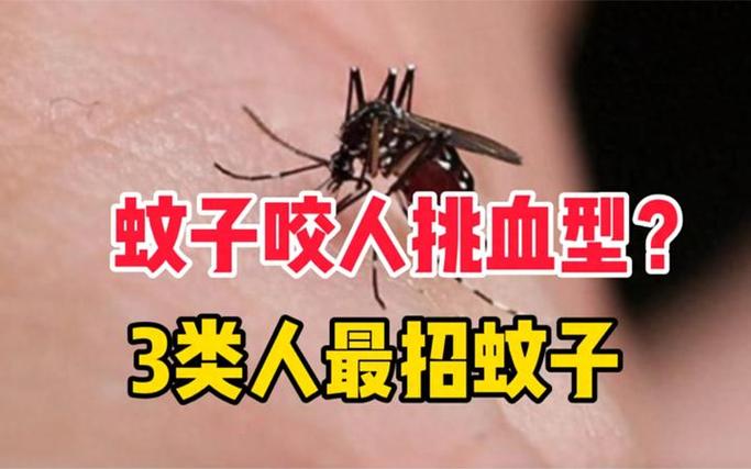 蚊子偏爱血型的对照（蚊子 偏爱 血型）