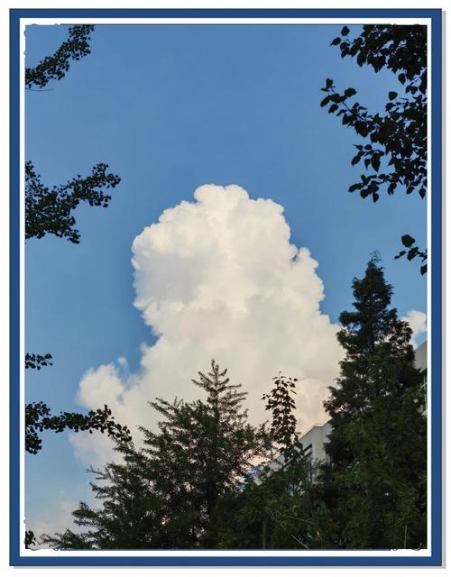 云朵的平均重量（云朵的平均重量是多少）