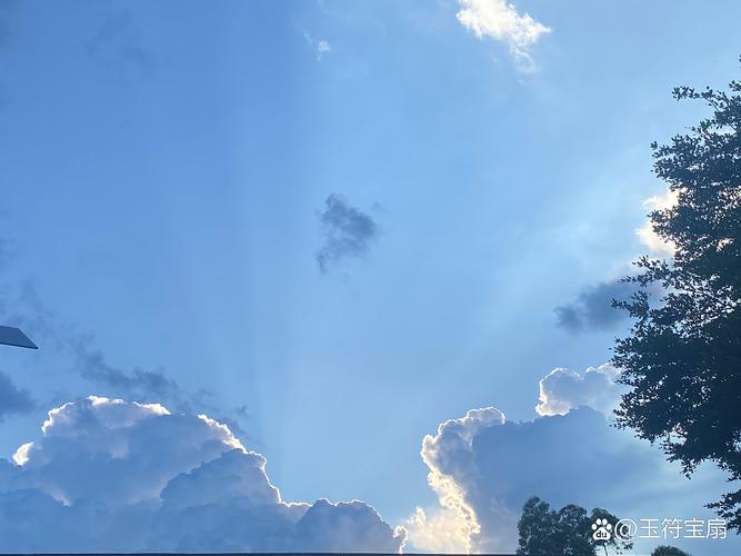 云朵的平均重量（云朵的平均重量是多少）