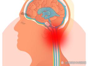 脑脊液冲洗睡眠的机制（脑脊液冲洗睡眠的机制是什么）