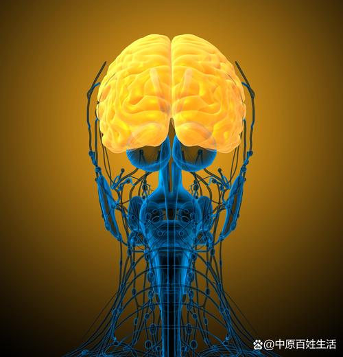 孤独会改变基因表达(孤独感会改变人类的大脑)