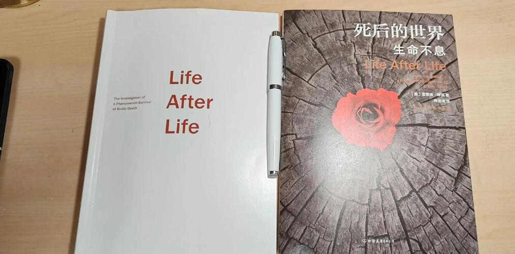 濒死体验的神经学解释（濒死体验是什么）