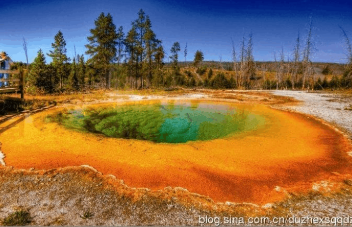 金星云层的嗜极微生物（金星云层的嗜极微生物有多少个）