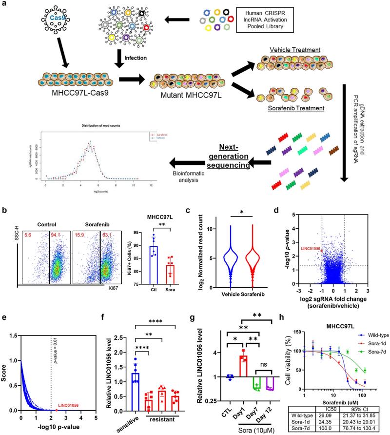 表观遗传的跨代饮食印记(表观跨代遗传现象)