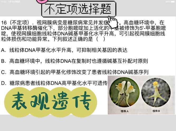 表观遗传的跨代饮食印记(表观跨代遗传现象)