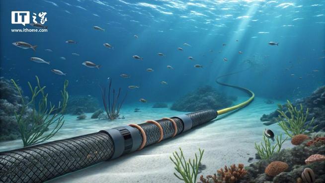 海底电缆干扰鲸鱼导航（海底电缆干嘛用的）