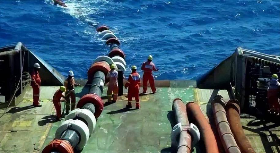 海底电缆干扰鲸鱼导航（海底电缆干嘛用的）