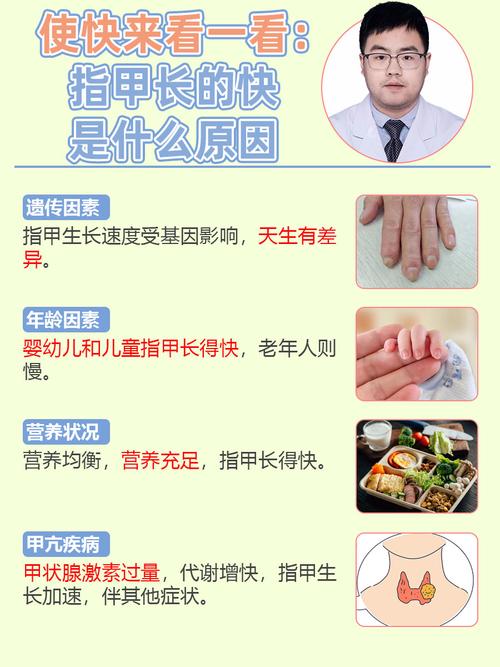 指甲生长速度与月相（指甲生长速度快说明）