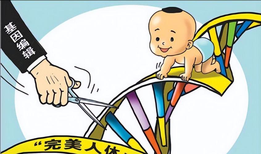 基因定制婴儿的阶级固化（基因定制宝宝ted）