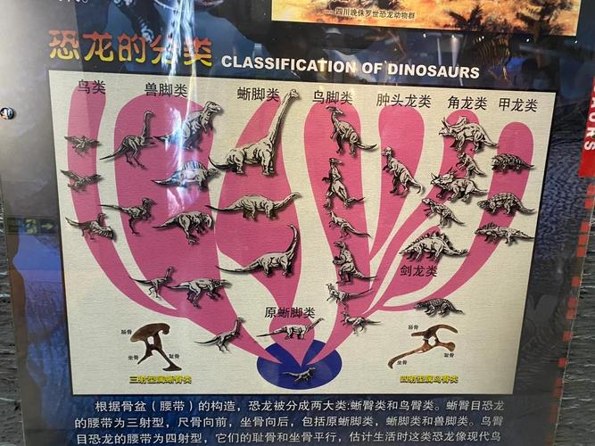 如果恐龙参加奥运会项目(如果恐龙出现在我们的生活中会和人类发生怎样的事情)