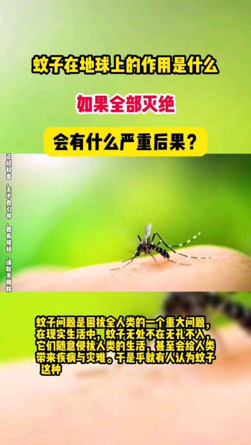 假如蚊子是濒危保护动物（让外星人相信蚊子是濒危物种）