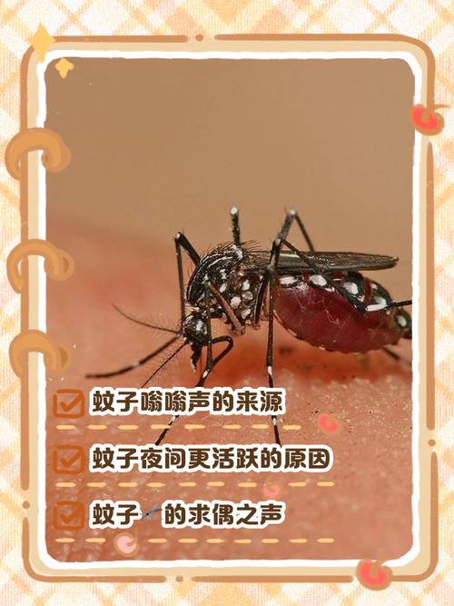 假如蚊子是濒危保护动物（让外星人相信蚊子是濒危物种）