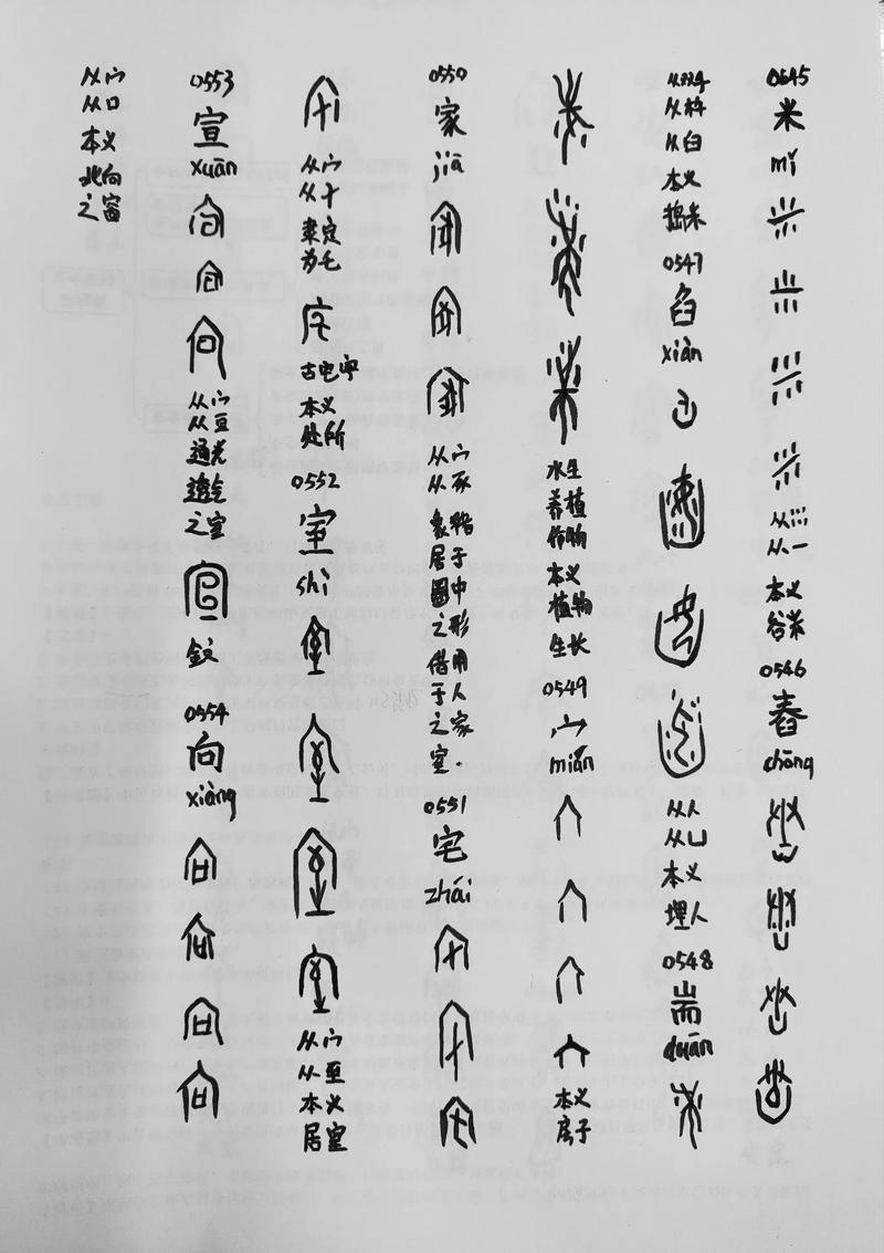 殷墟甲骨文中的传染病（殷墟甲骨文记载了哪些内容）