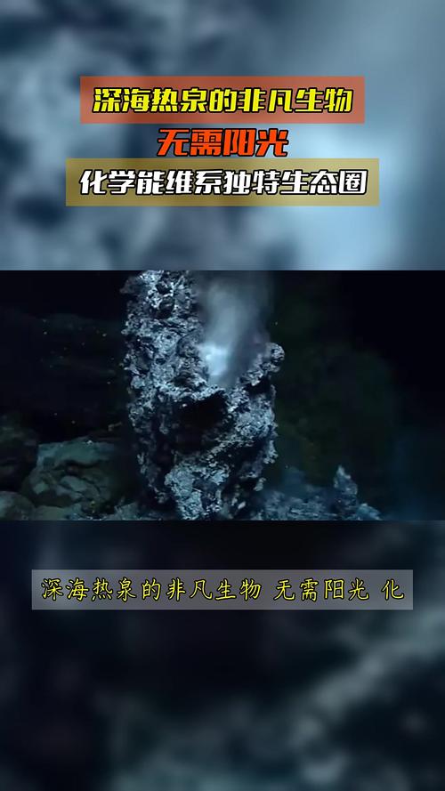 深海热泉生态圈启示录（研究深海热泉生态系统有什么意义）